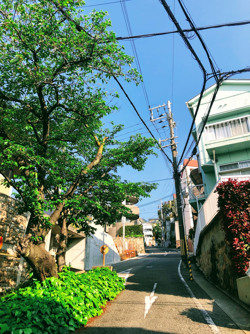 神戸市灘区『なだ百選』坂コースの写真8