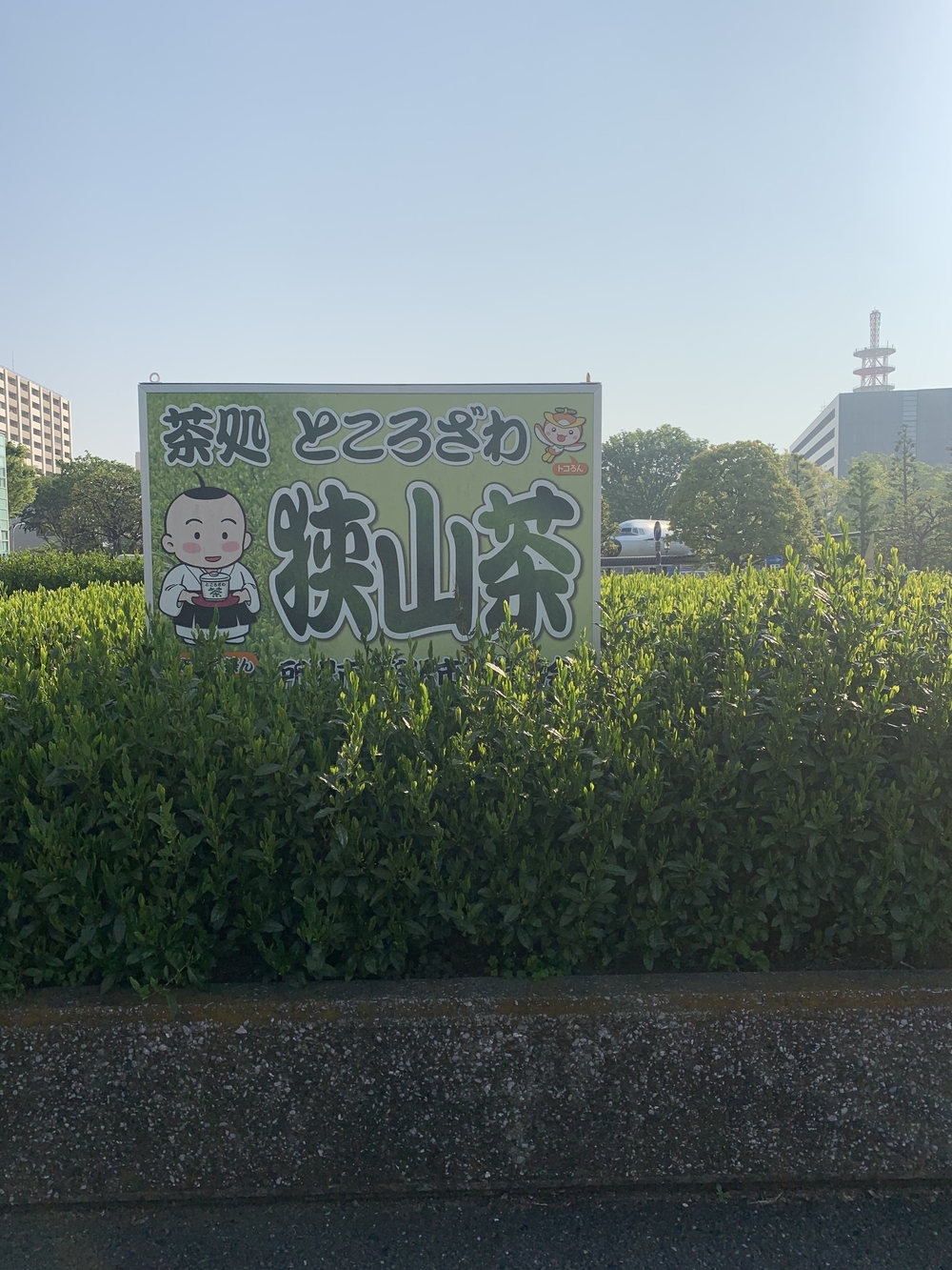 アメリカから所沢に返還された道を駆け抜けるの写真5