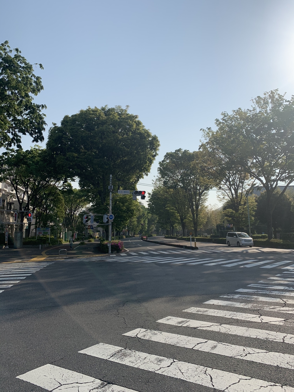 アメリカから所沢に返還された道を駆け抜けるの写真6