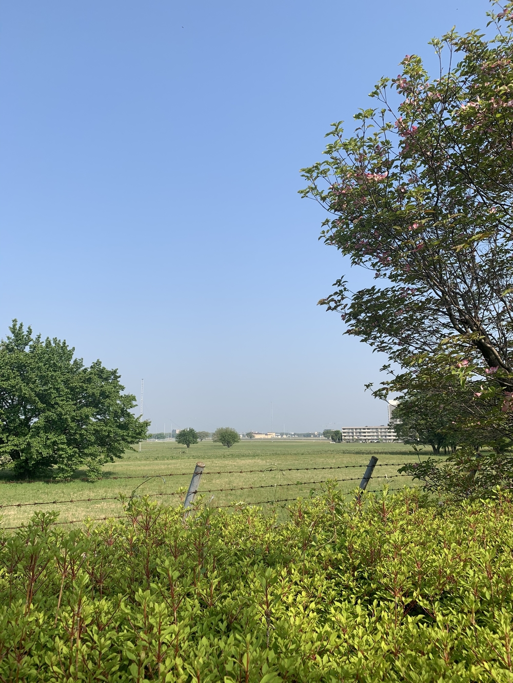 アメリカから所沢に返還された道を駆け抜けるの写真10