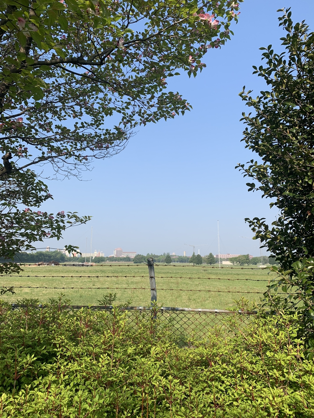 アメリカから所沢に返還された道を駆け抜けるの写真11