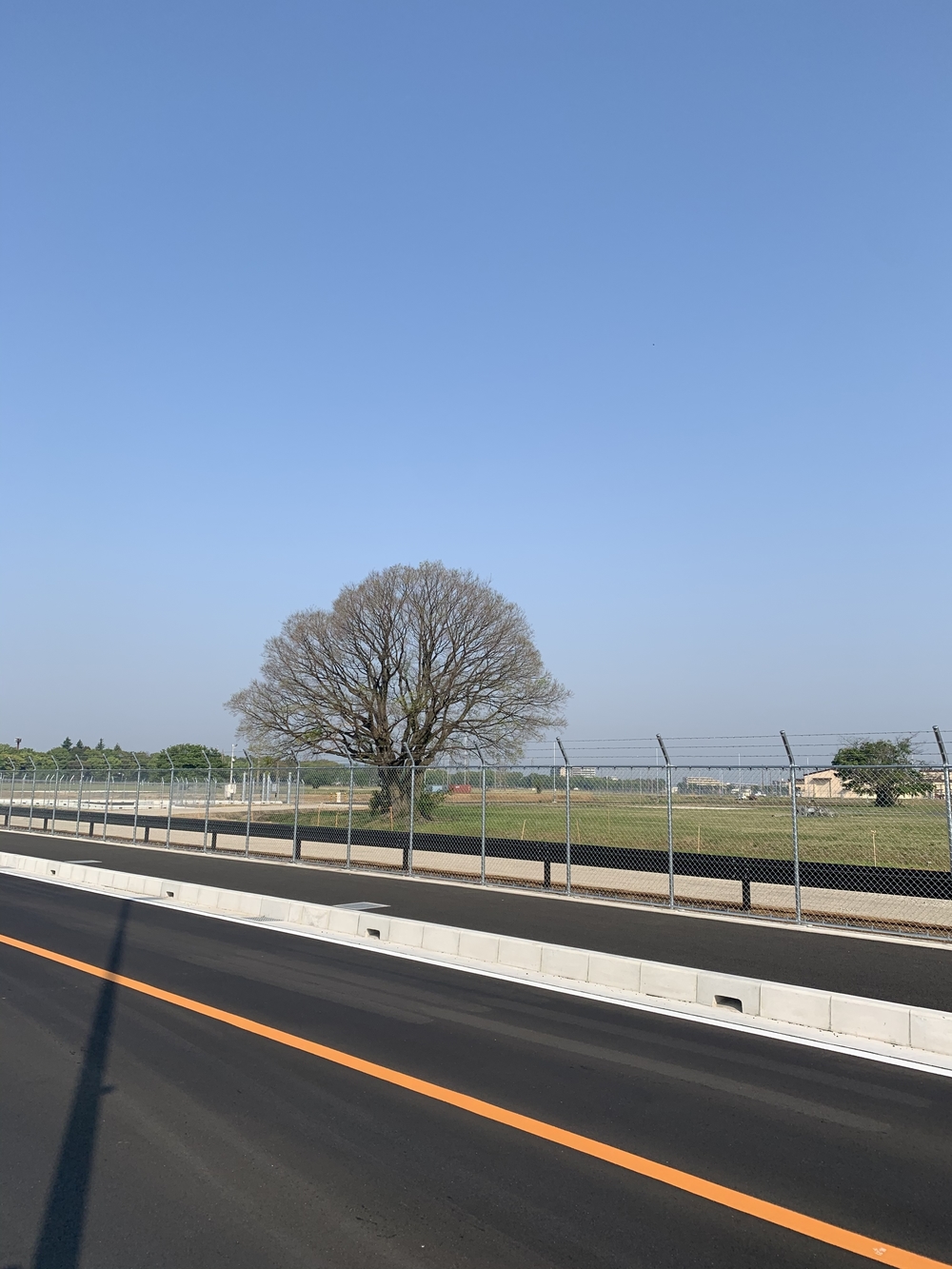 アメリカから所沢に返還された道を駆け抜けるの写真14