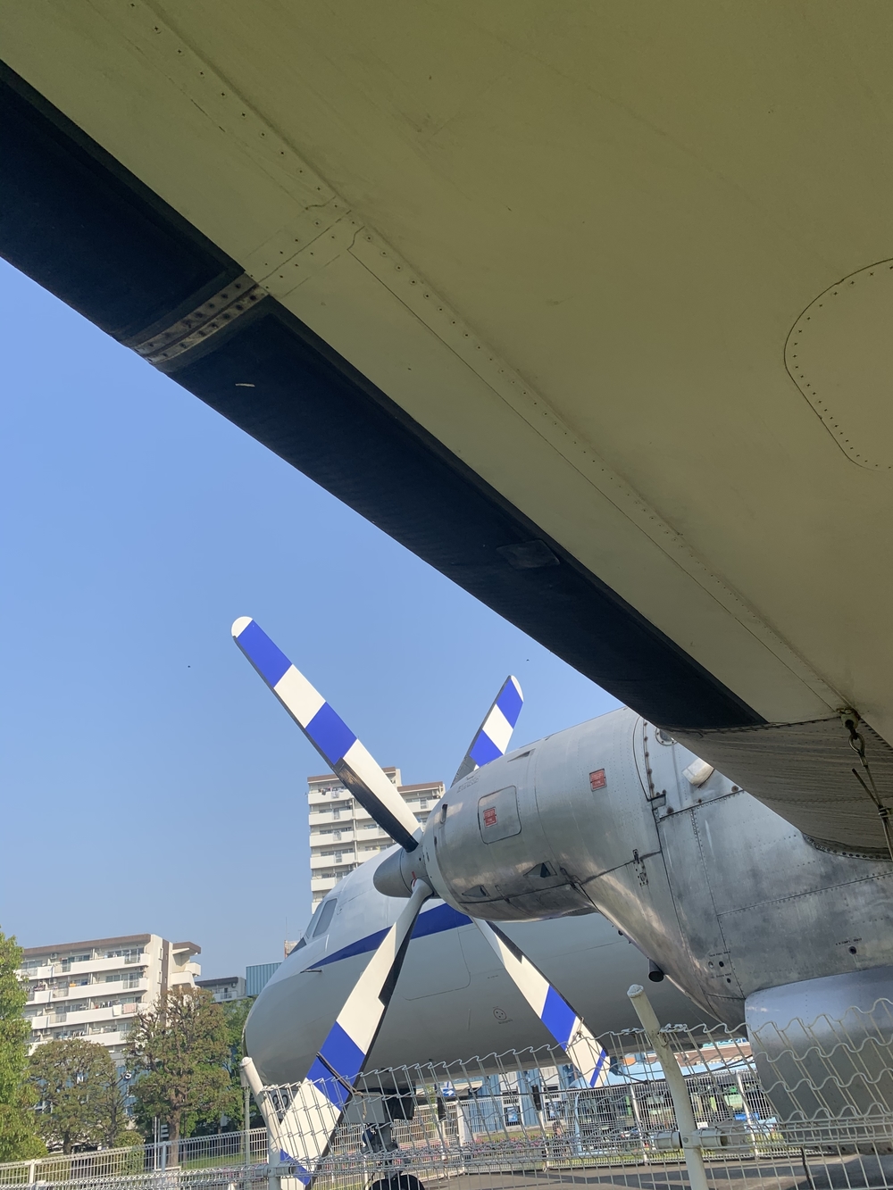 アメリカから所沢に返還された道を駆け抜けるの写真19