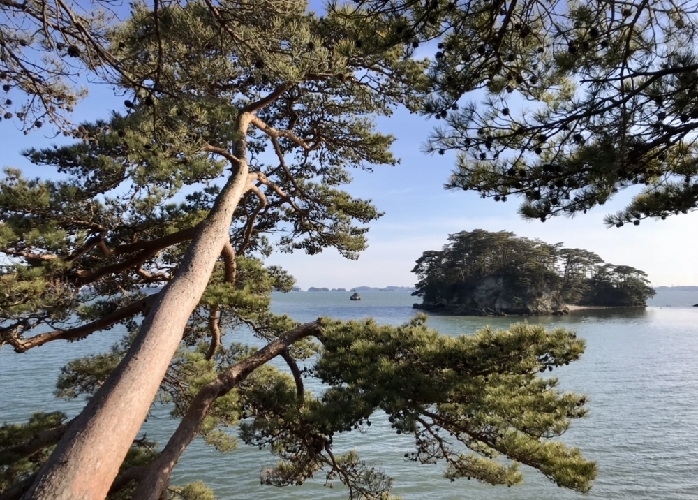 宮城／松島　ランニングコースの写真3