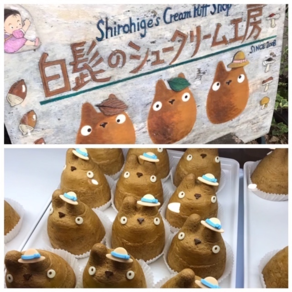 世田谷の緑道をゆるっと周回ラン★★の写真3