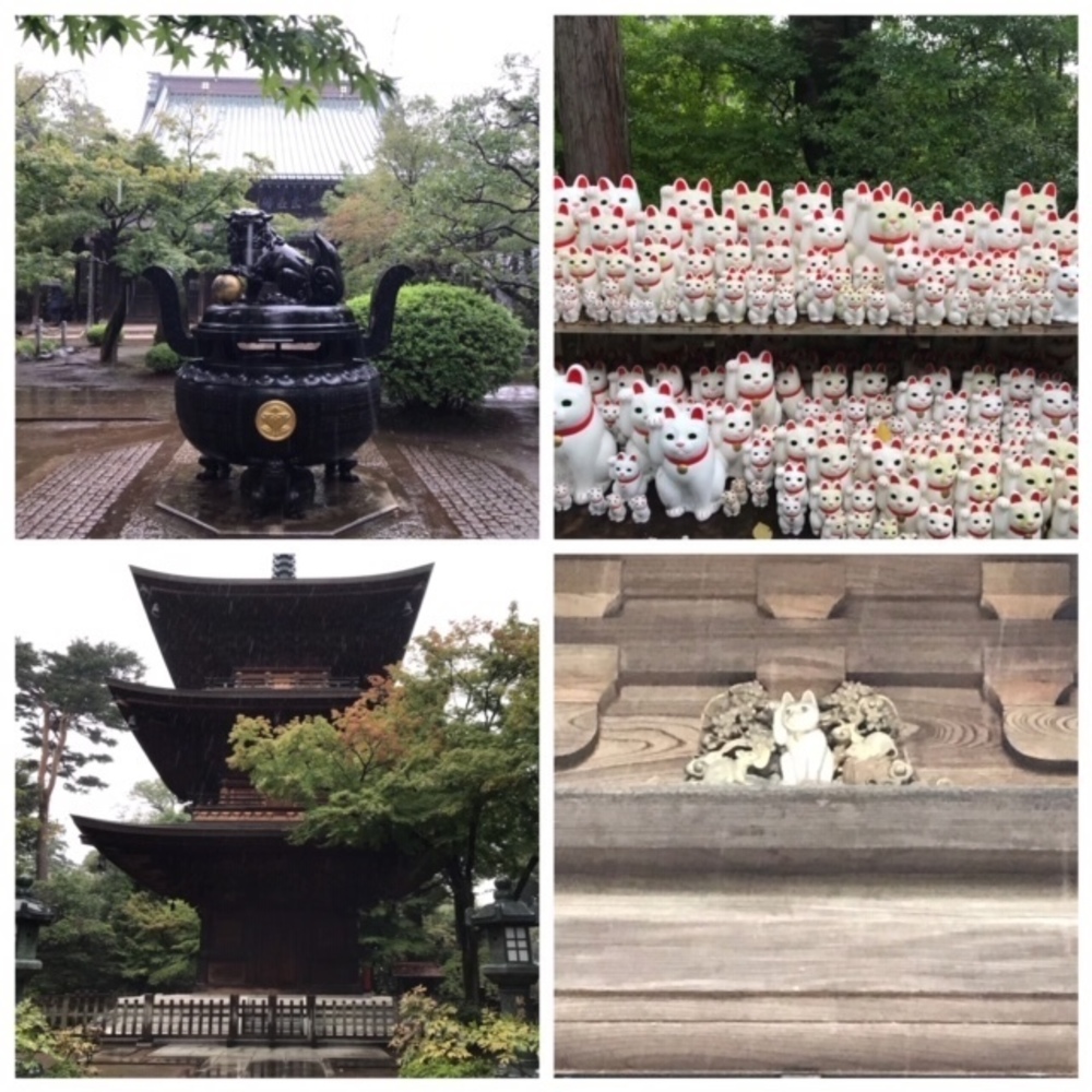 世田谷の緑道をゆるっと周回ラン★★の写真5