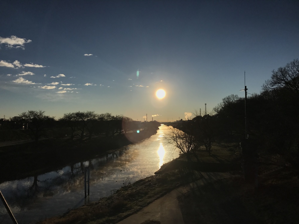 志木市役所から新河岸川沿い・いろは親水公園コースの写真3