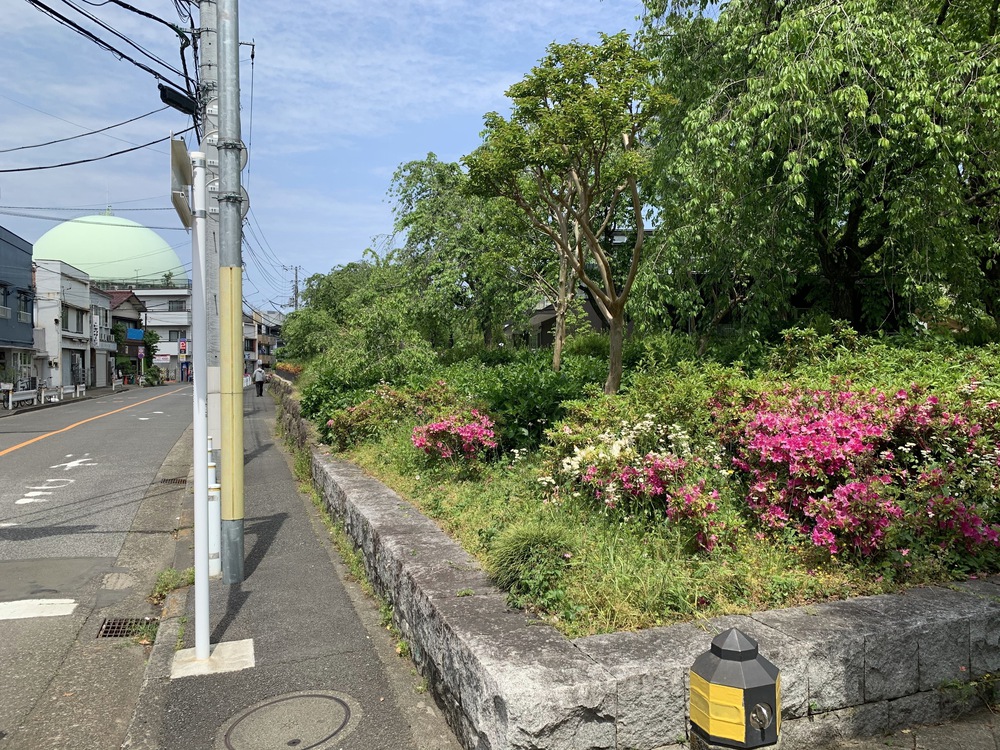 世田谷〜三鷹〜杉並　蘆花公園からの緑道Run の写真3