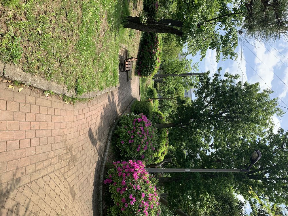 世田谷〜三鷹〜杉並　蘆花公園からの緑道Run の写真7