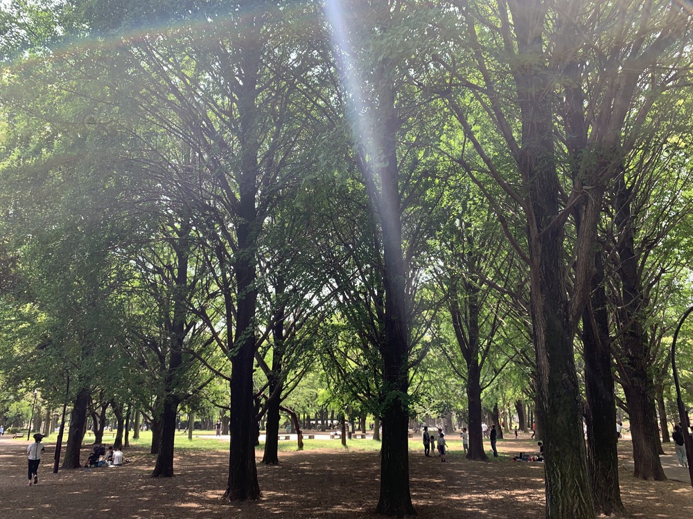 世田谷〜三鷹〜杉並　蘆花公園からの緑道Run の写真9