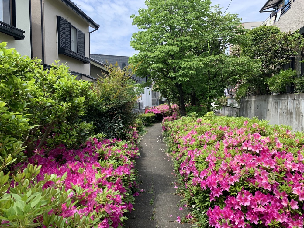 世田谷〜三鷹〜杉並　蘆花公園からの緑道Run の写真10