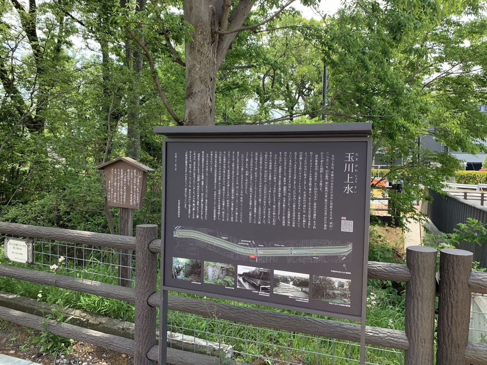 世田谷〜三鷹〜杉並　蘆花公園からの緑道Run の写真13