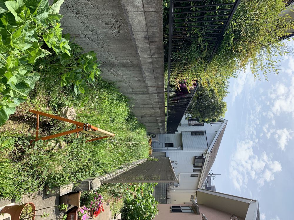 世田谷〜三鷹〜杉並　蘆花公園からの緑道Run の写真15