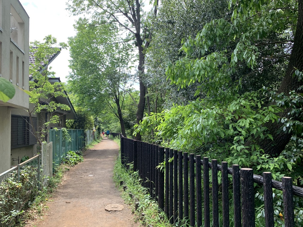 世田谷〜三鷹〜杉並　蘆花公園からの緑道Run の写真16