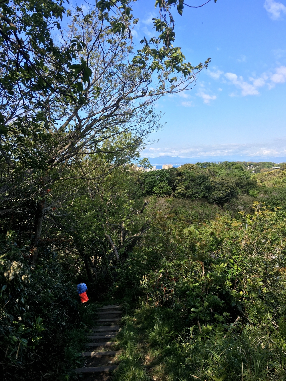 鎌倉広町のライトトレランの写真3