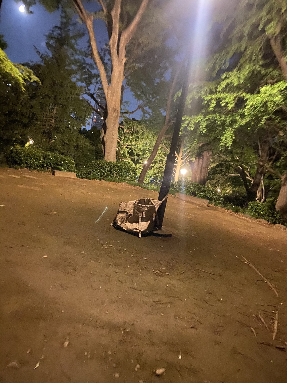 都内の稜線！山手線内の四山縦走の写真3