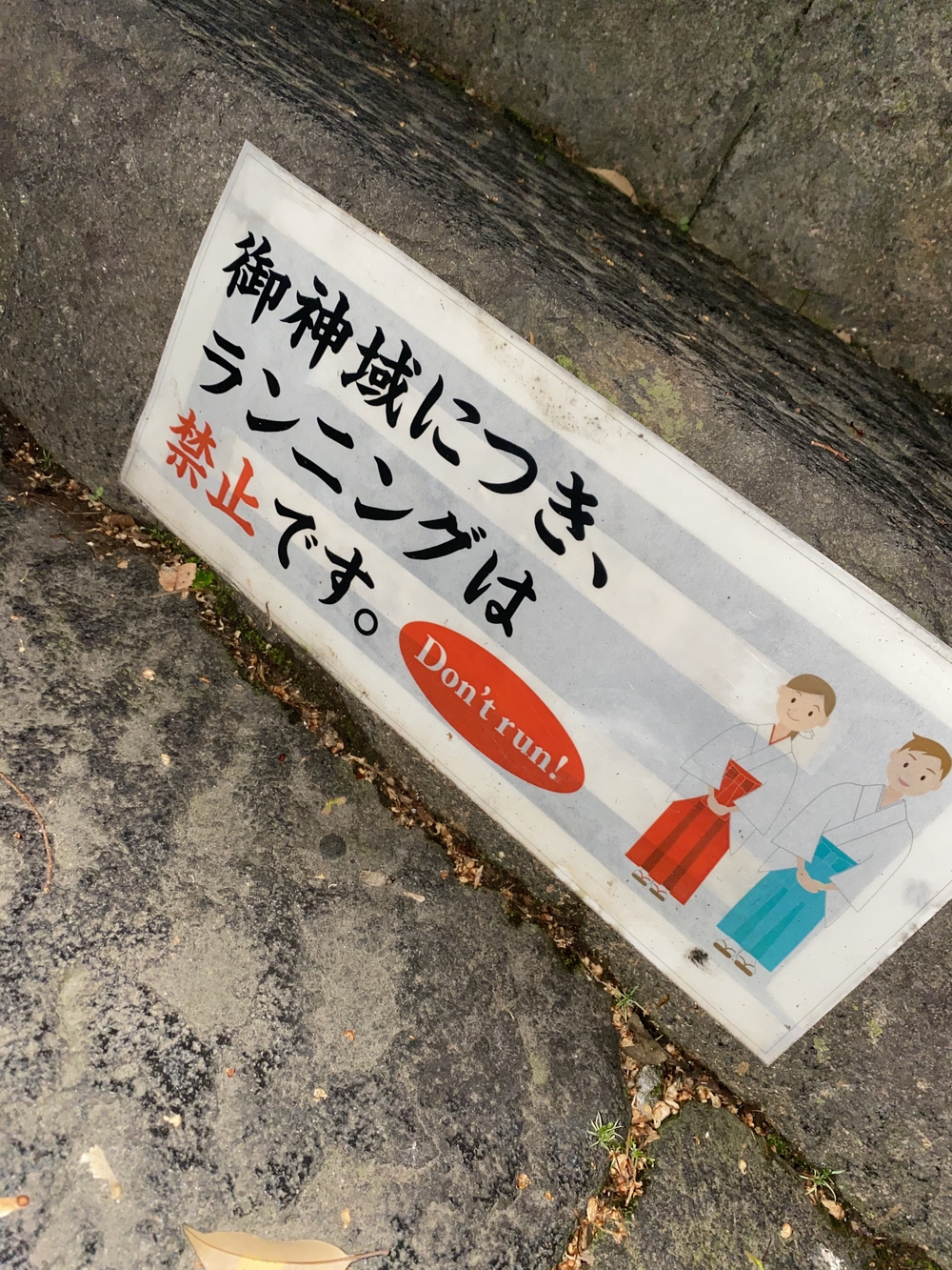 都内の稜線！山手線内の四山縦走の写真7