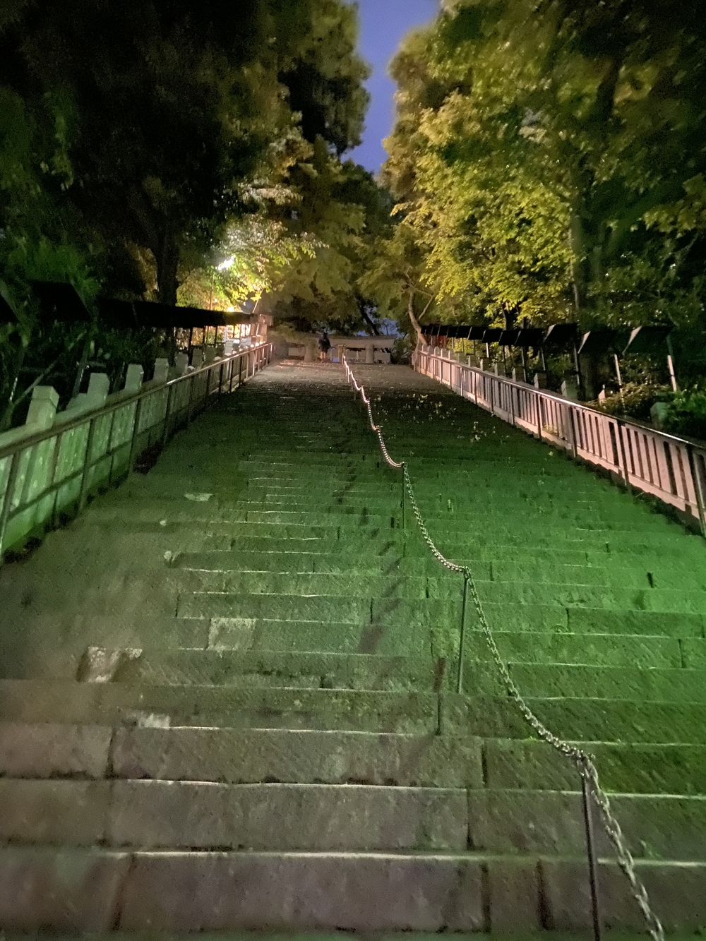 都内の稜線！山手線内の四山縦走の写真8