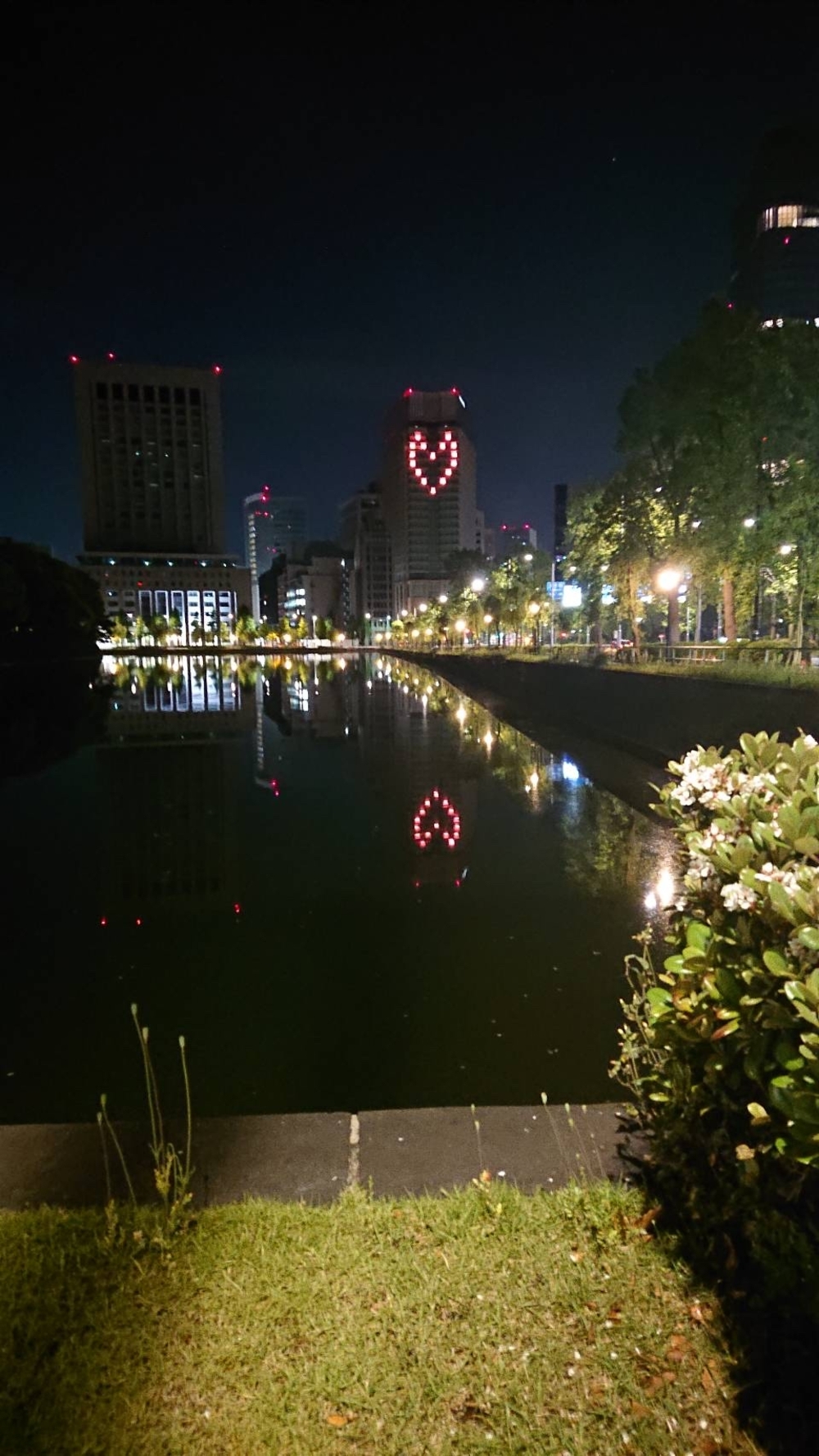 都内の稜線！山手線内の四山縦走の写真11