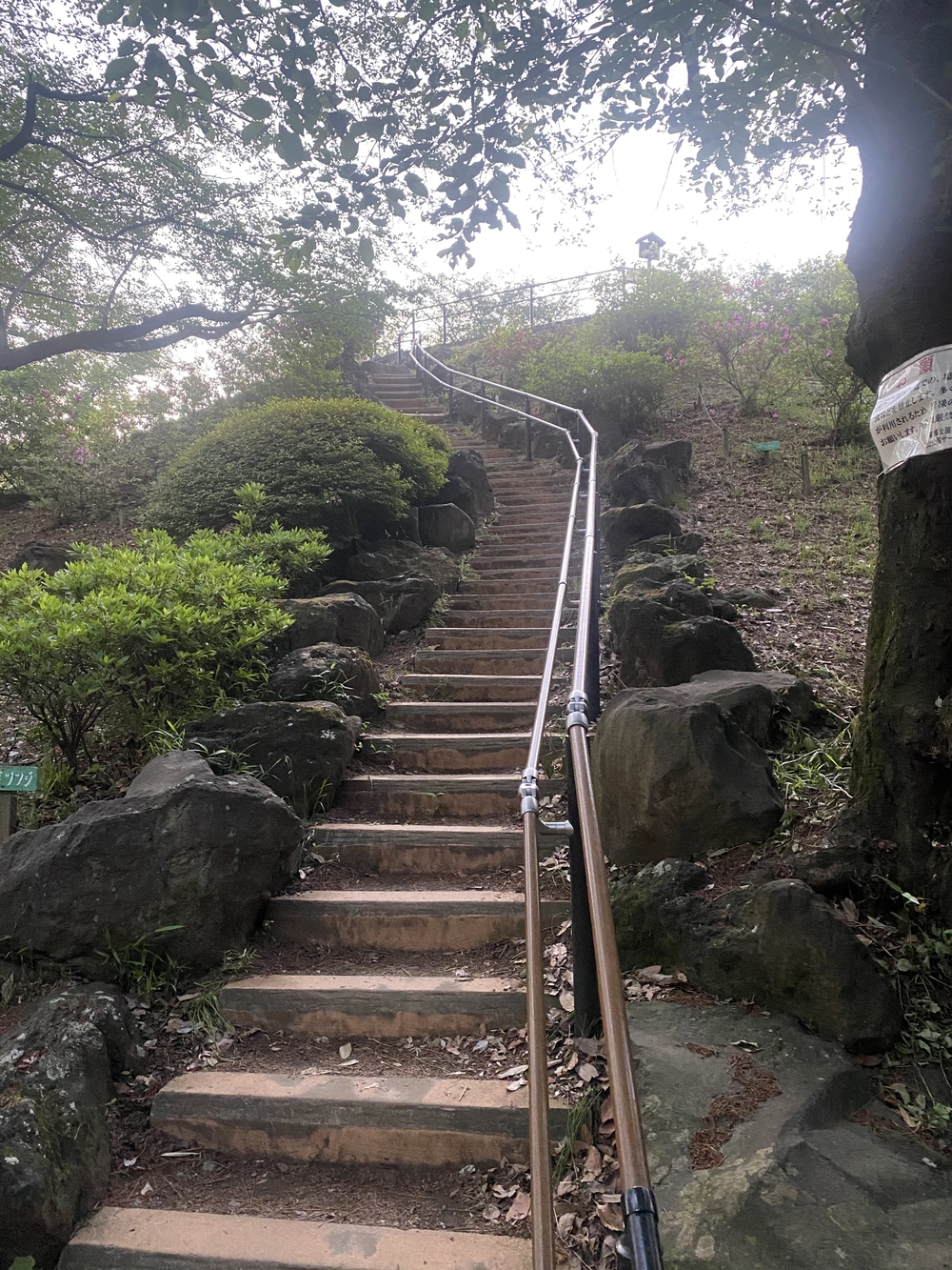 都内の稜線！山手線内の四山縦走の写真13