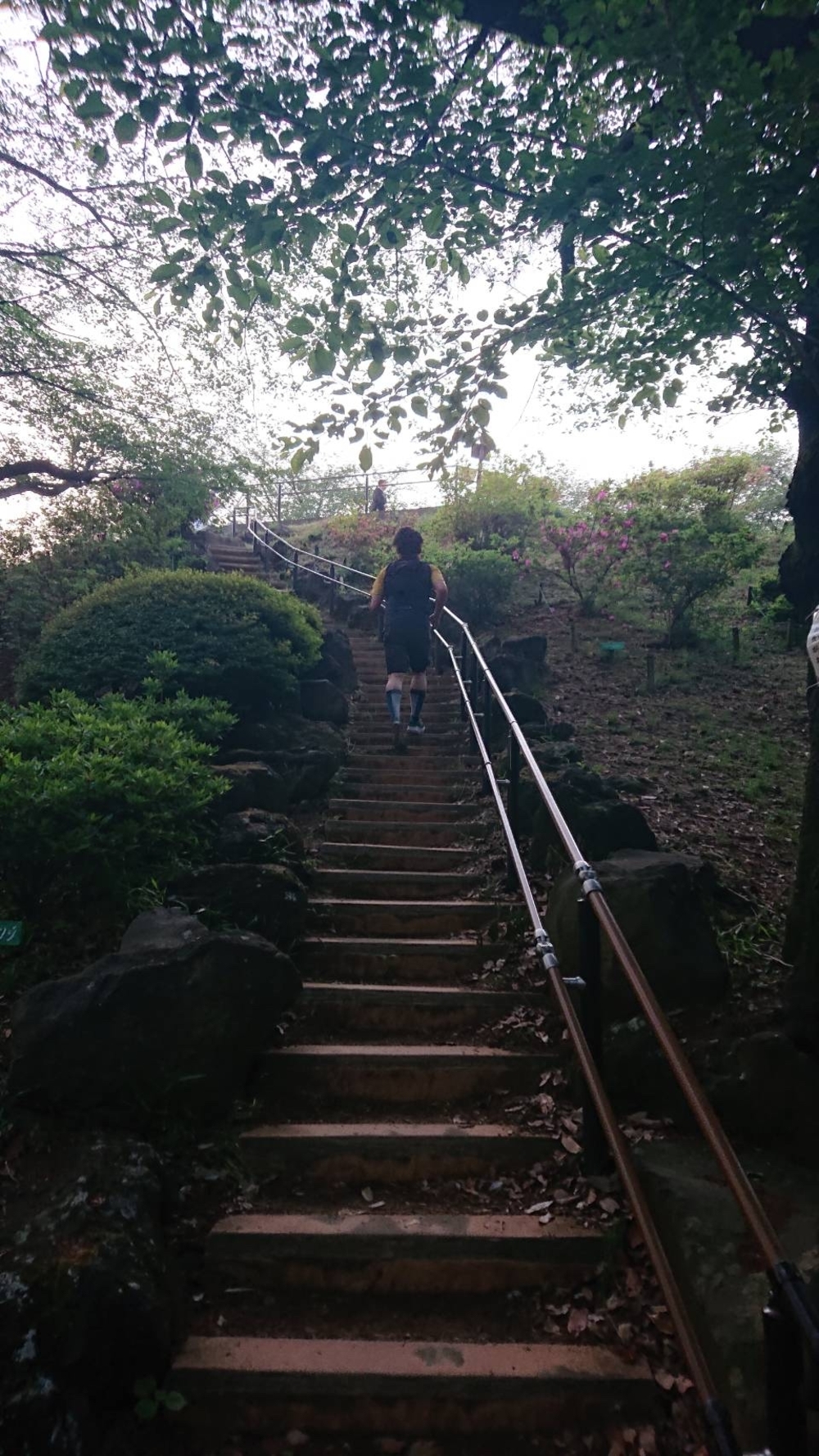 都内の稜線！山手線内の四山縦走の写真14