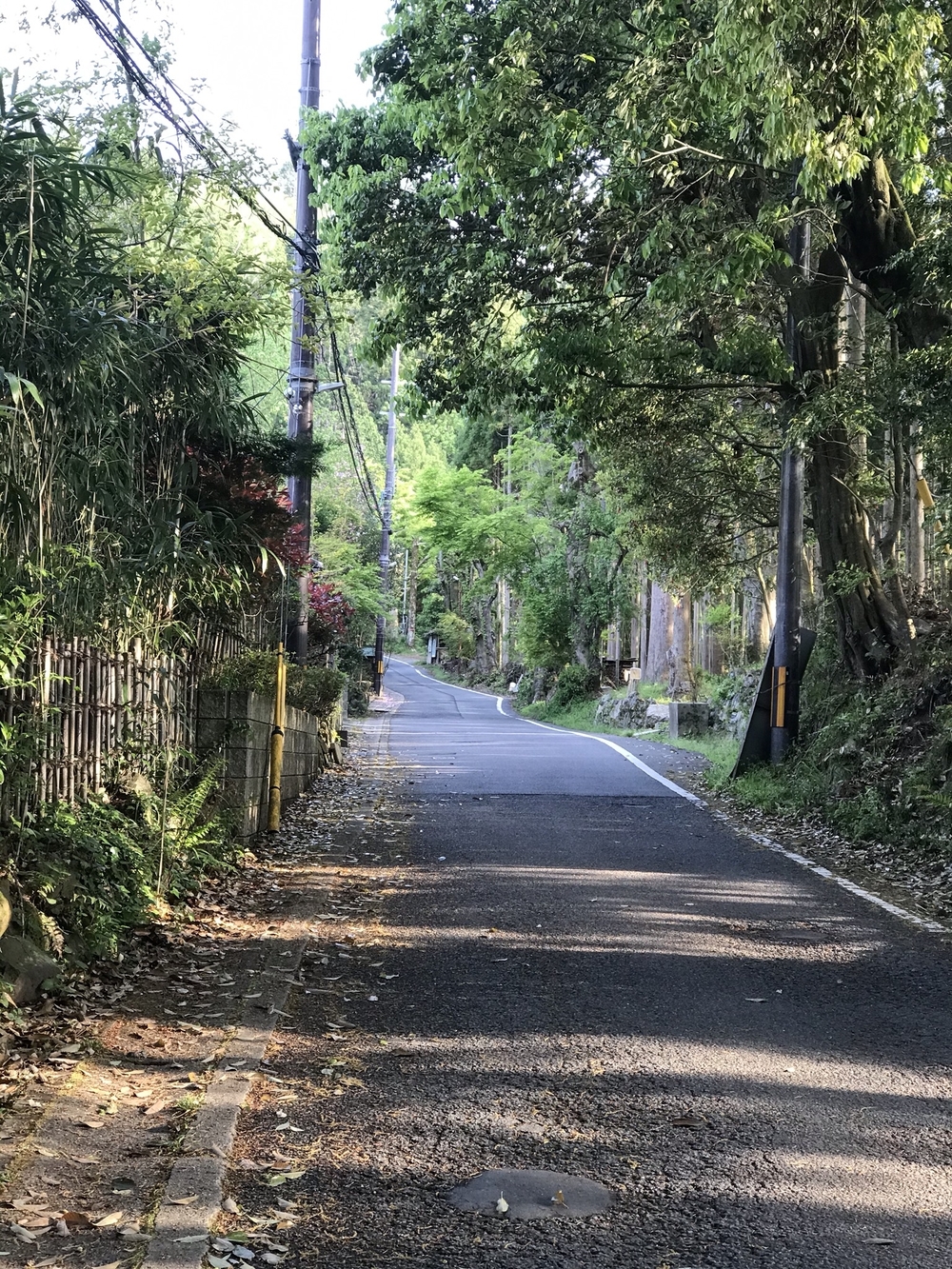 美味しい湧き水がいただけますの写真3