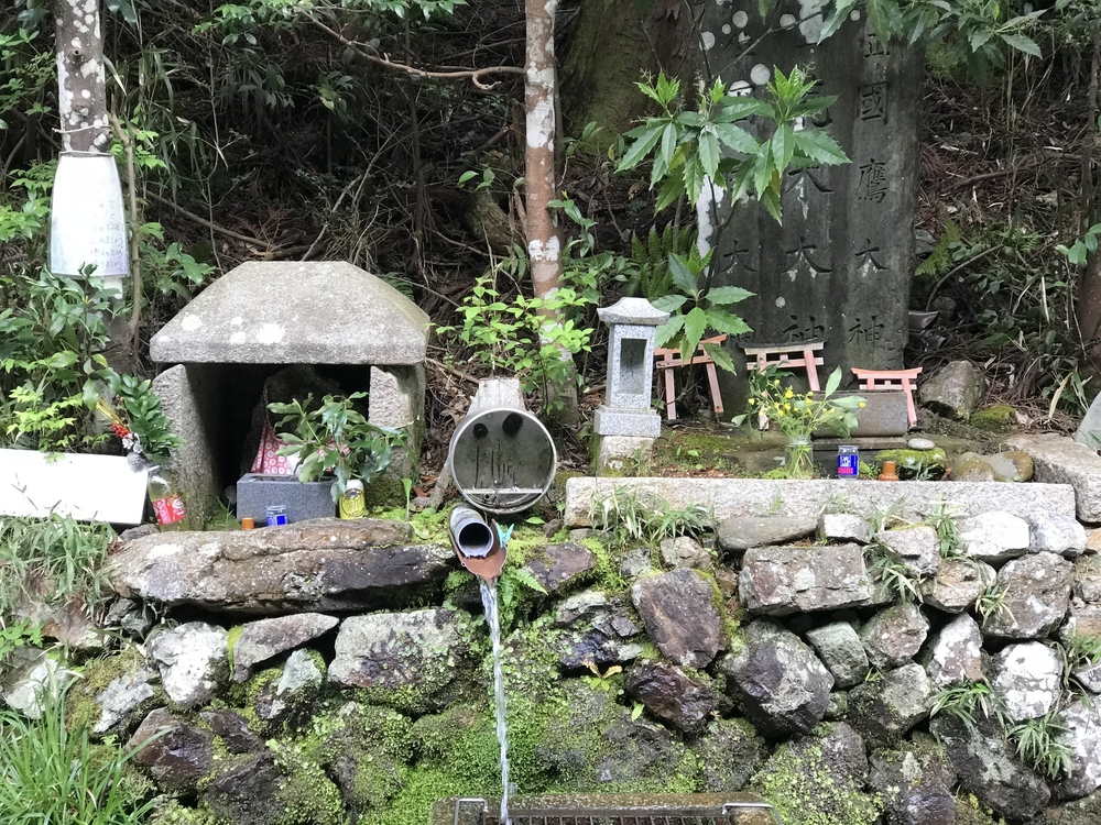 美味しい湧き水がいただけますの写真5