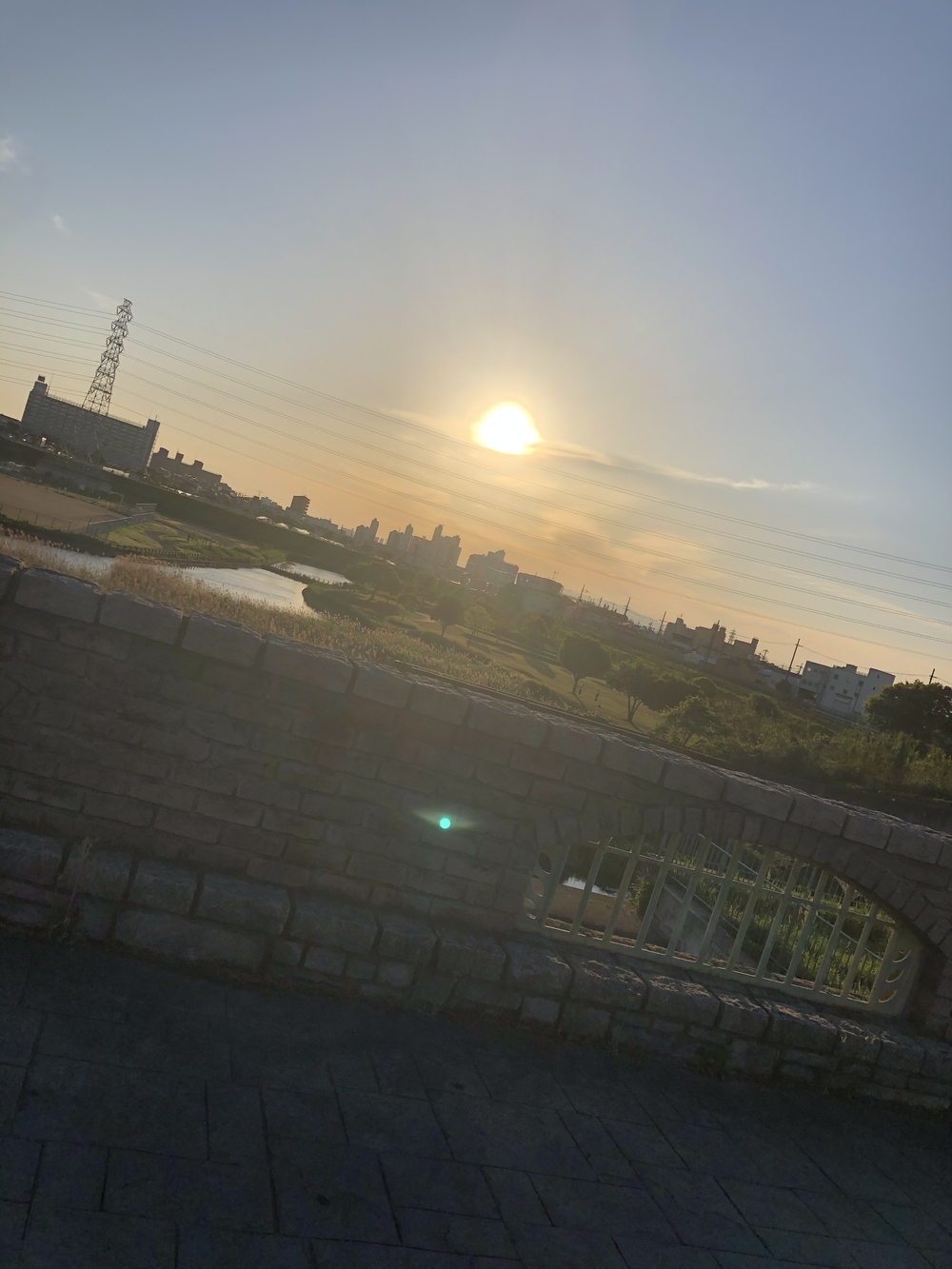 恩智川沿いの5キロコースの写真3