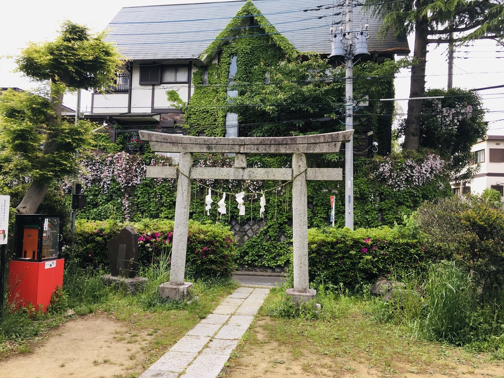多摩丘陵の２つの神社に参拝できるアップダウンのあるハーフコースの写真4