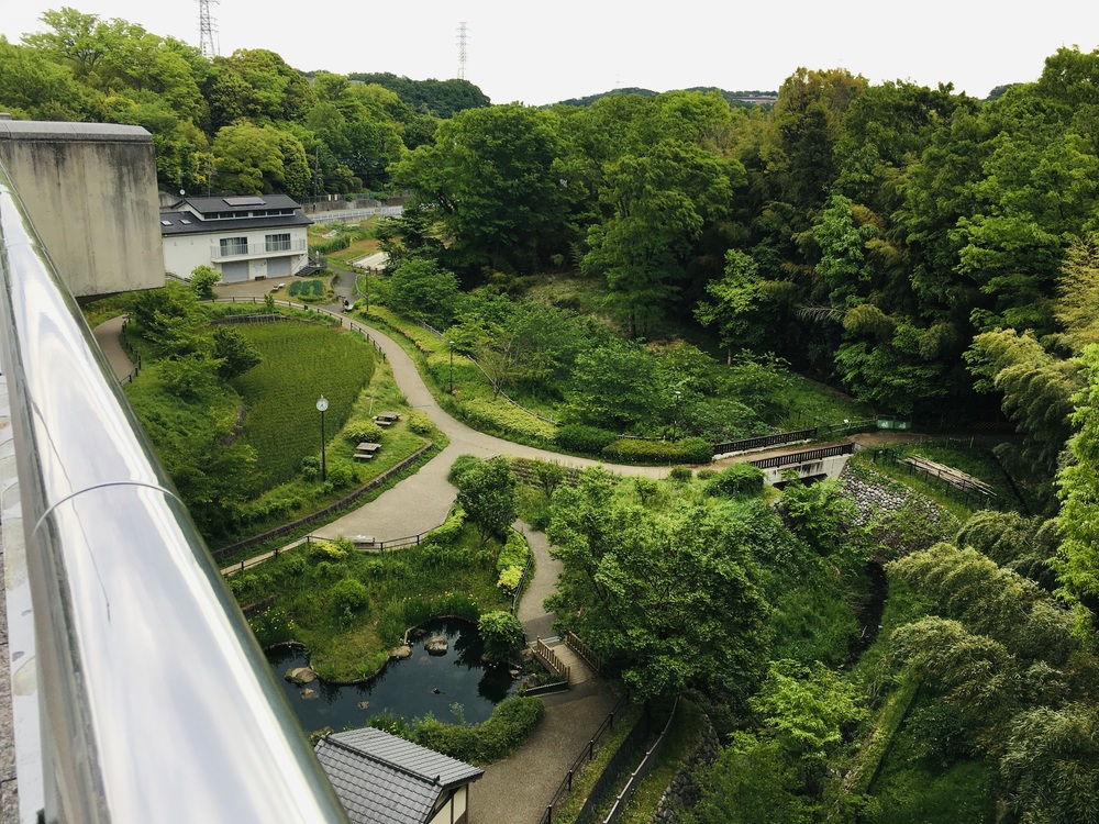 多摩丘陵の２つの神社に参拝できるアップダウンのあるハーフコースの写真6