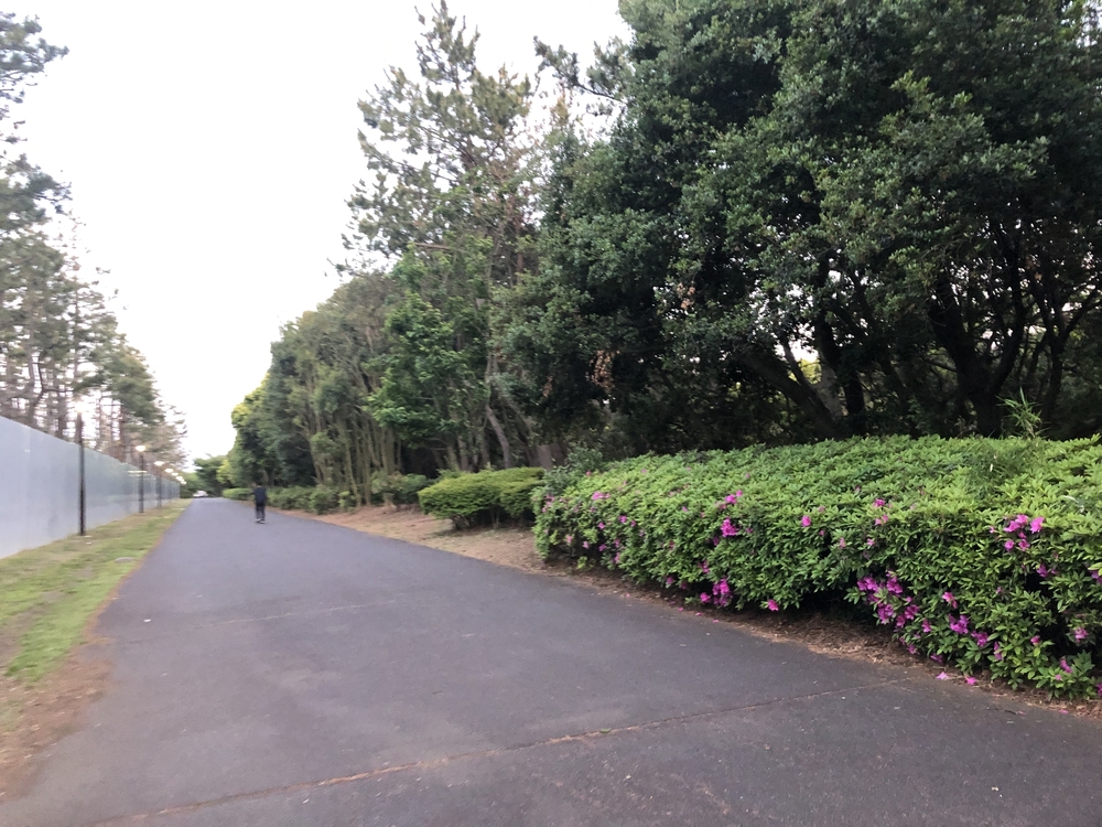 西葛西⇄葛西臨海公園の写真3