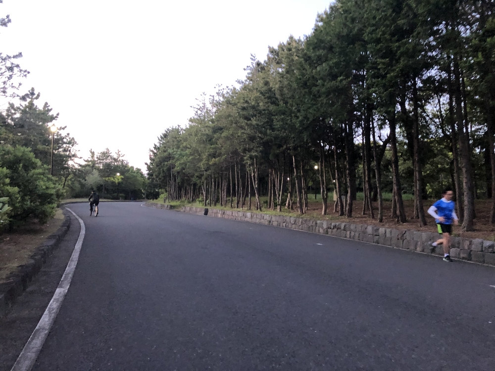 西葛西⇄葛西臨海公園の写真4