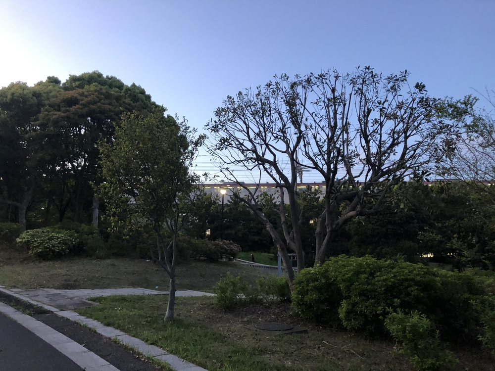 西葛西⇄葛西臨海公園の写真5