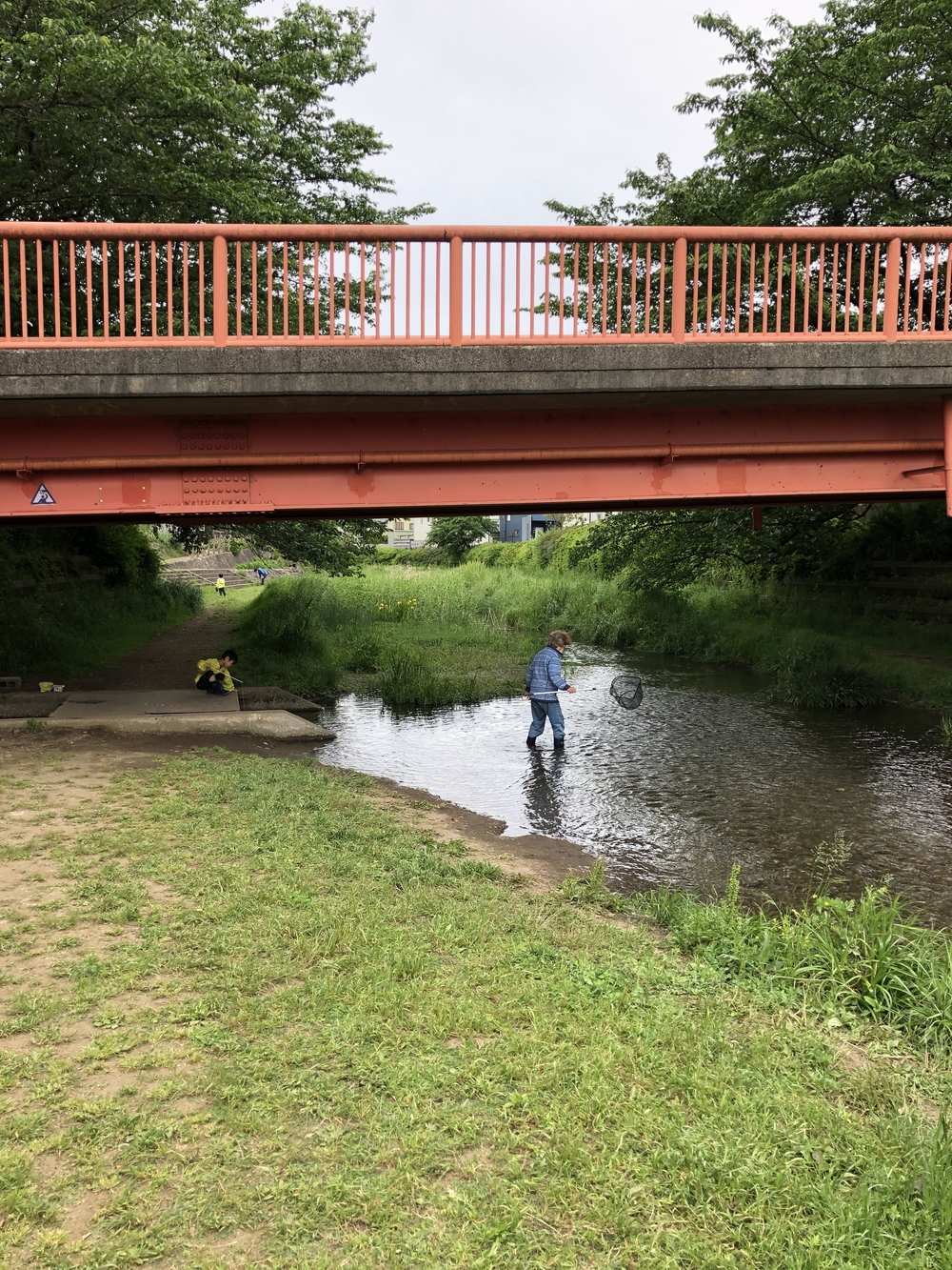野川沿い往復5キロの写真4