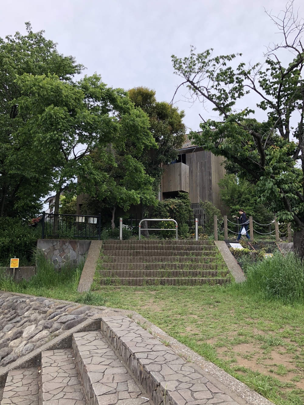 野川沿い往復5キロの写真5