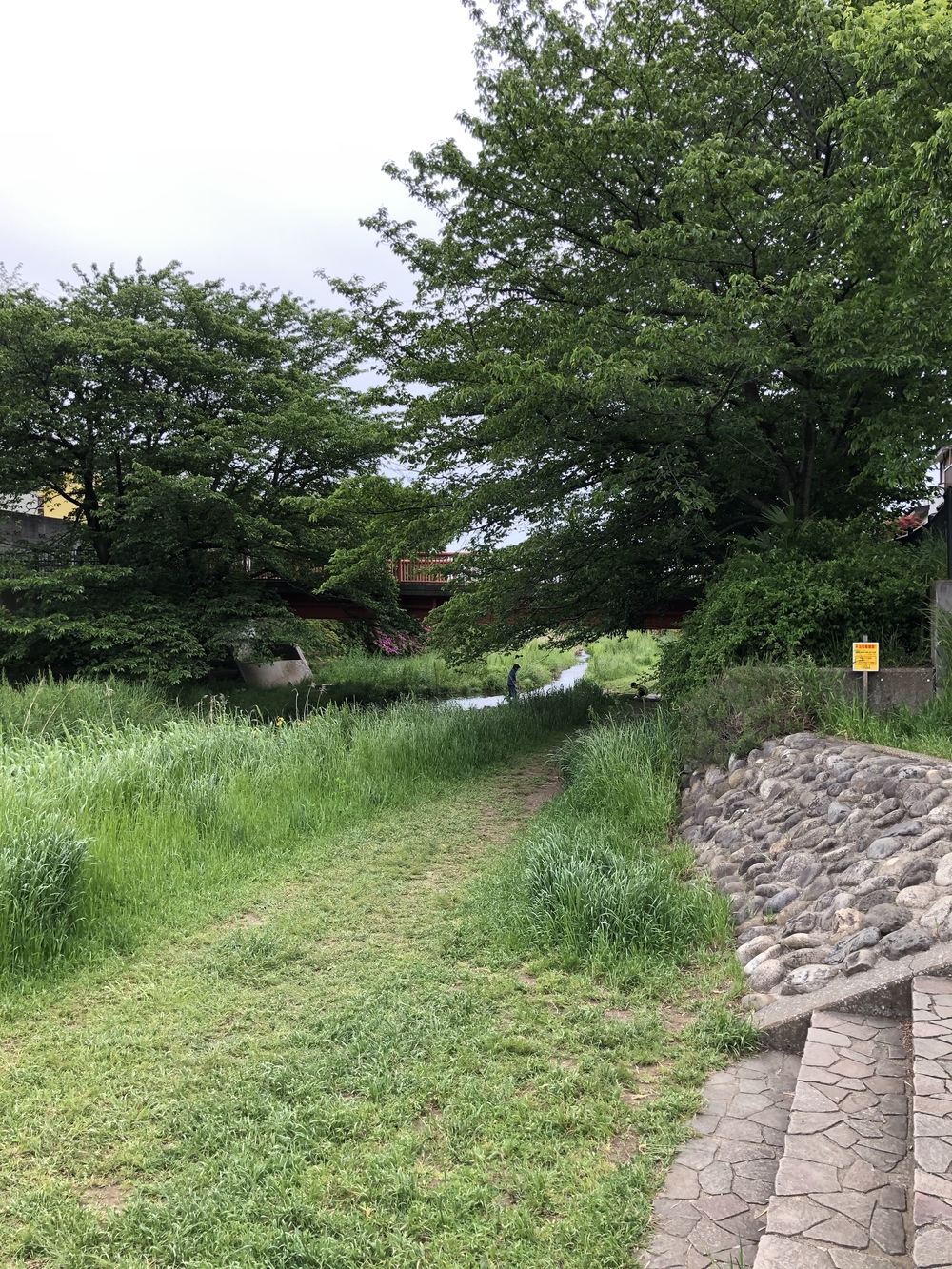 野川沿い往復5キロの写真6