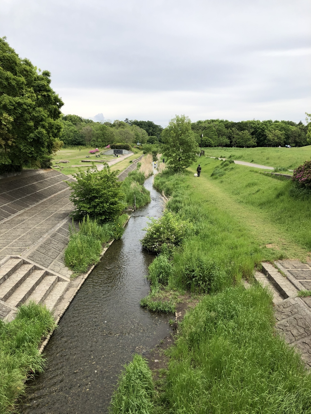 野川沿い往復5キロの写真7