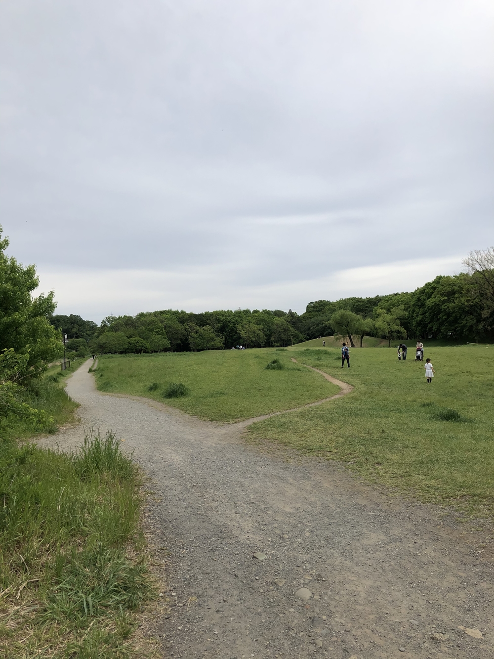 野川沿い往復5キロの写真8