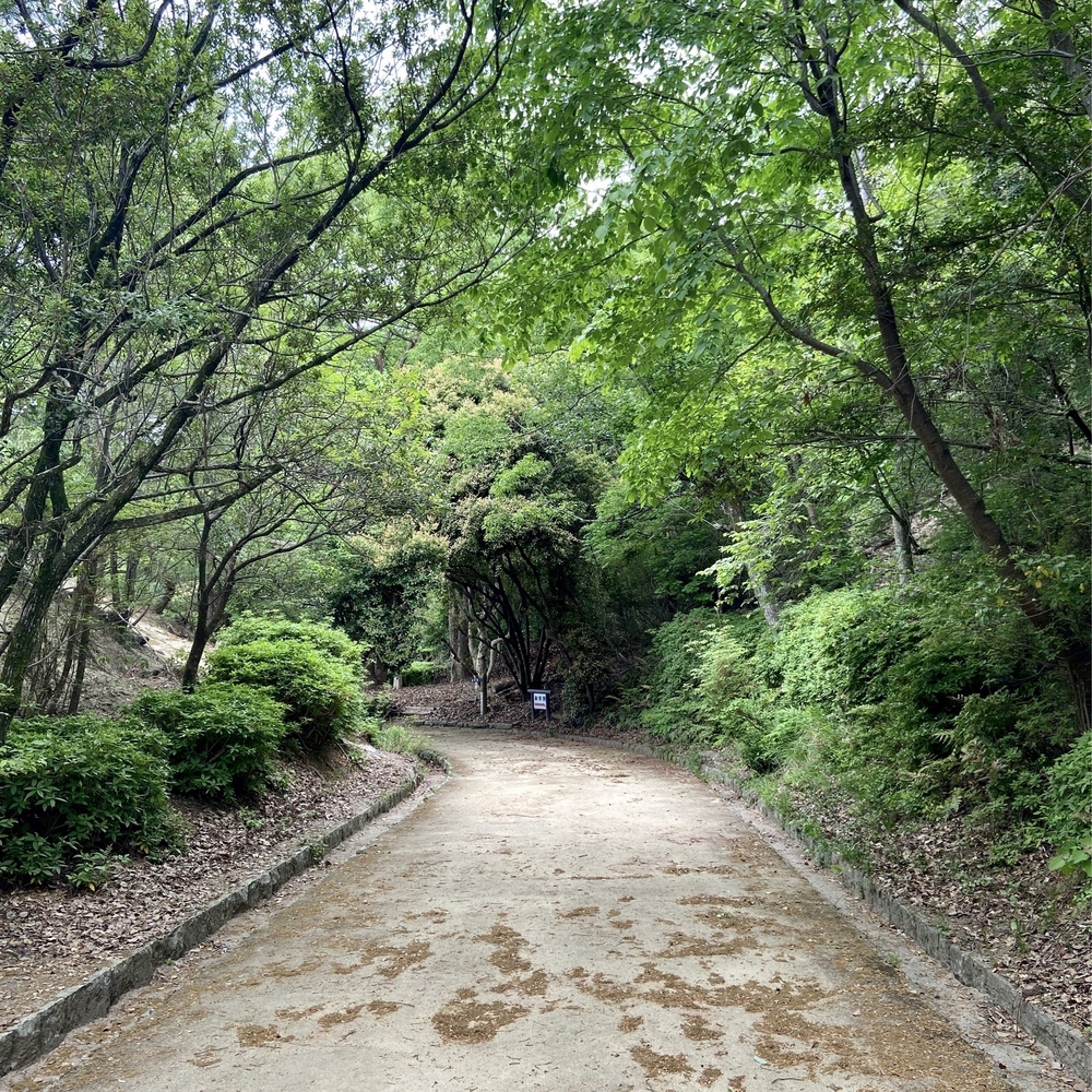 甲山森林公園や甲山〜北山公園でボルダリング発祥の地を巡るプチトレランの写真4