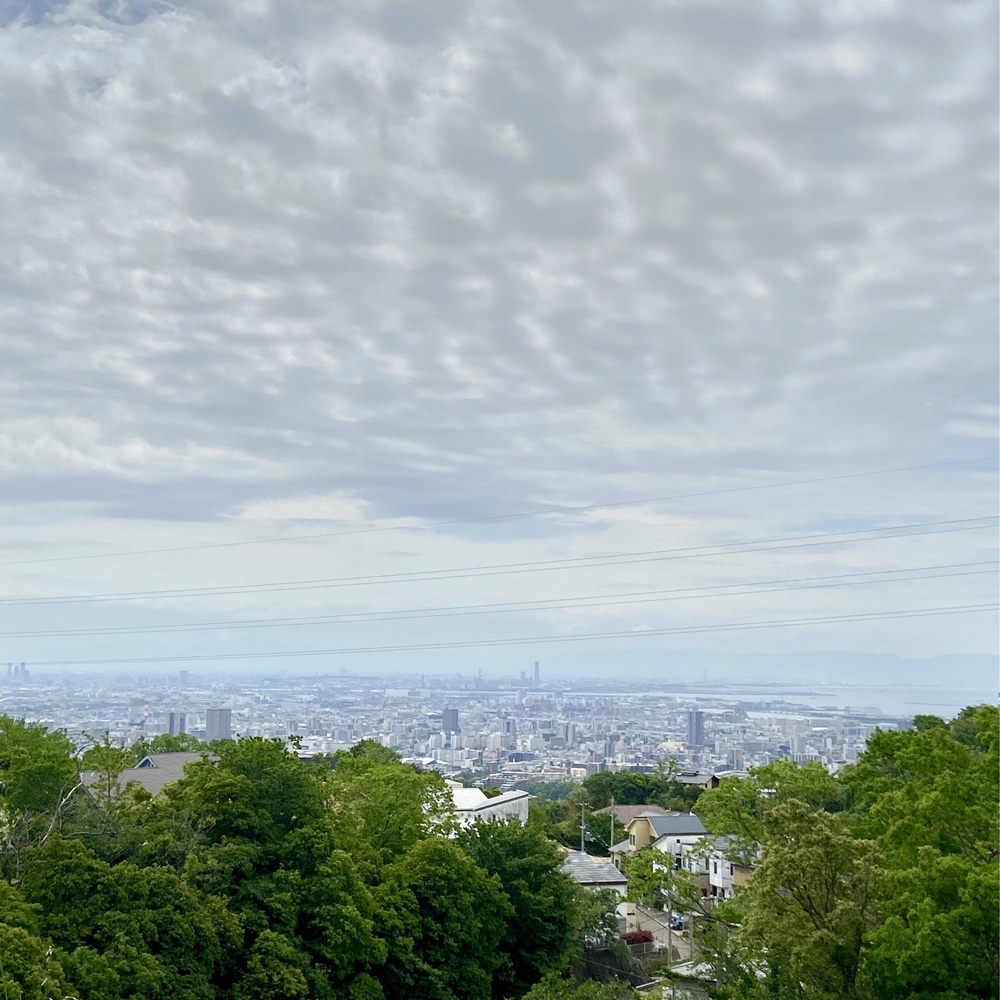 甲山森林公園や甲山〜北山公園でボルダリング発祥の地を巡るプチトレランの写真7