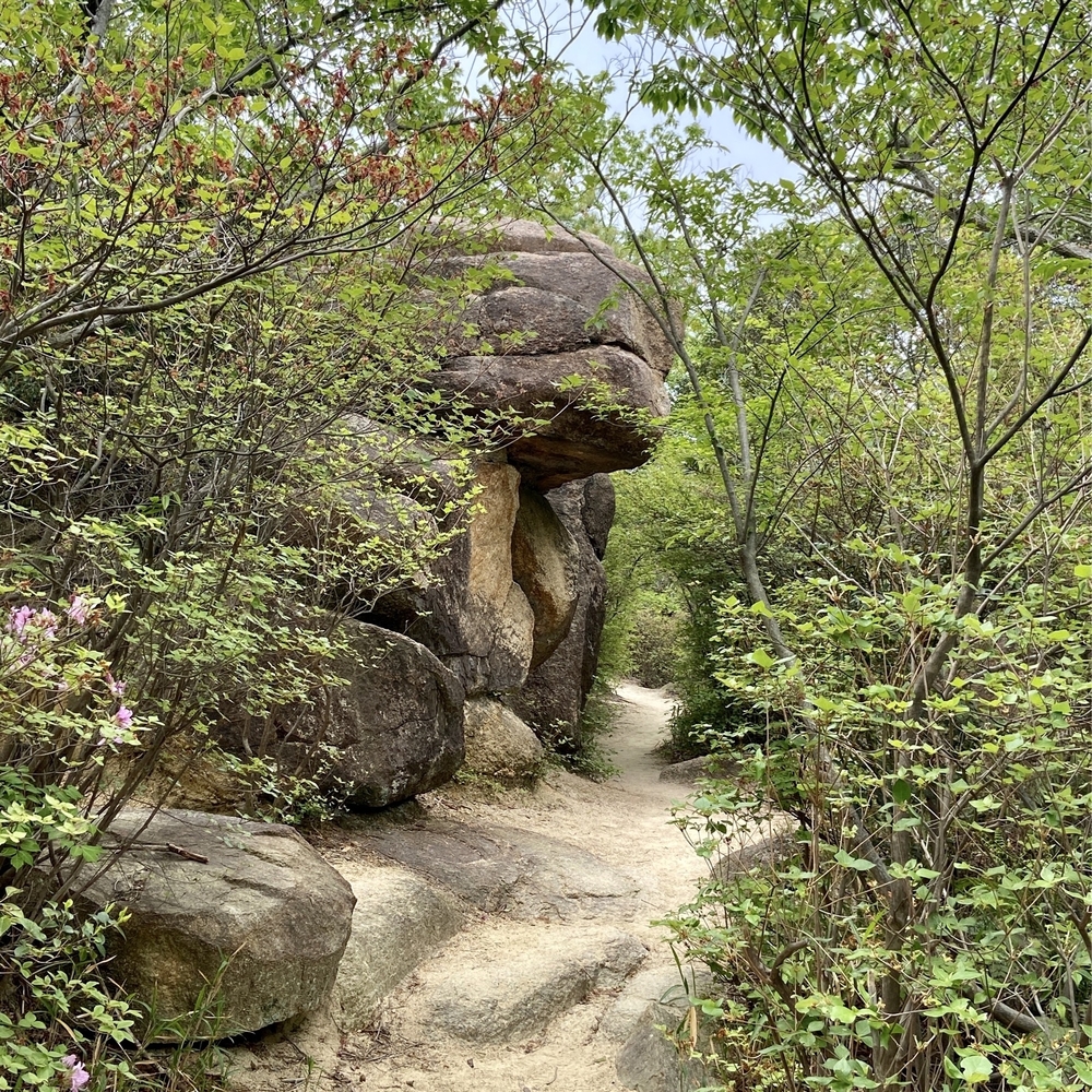 甲山森林公園や甲山〜北山公園でボルダリング発祥の地を巡るプチトレランの写真11