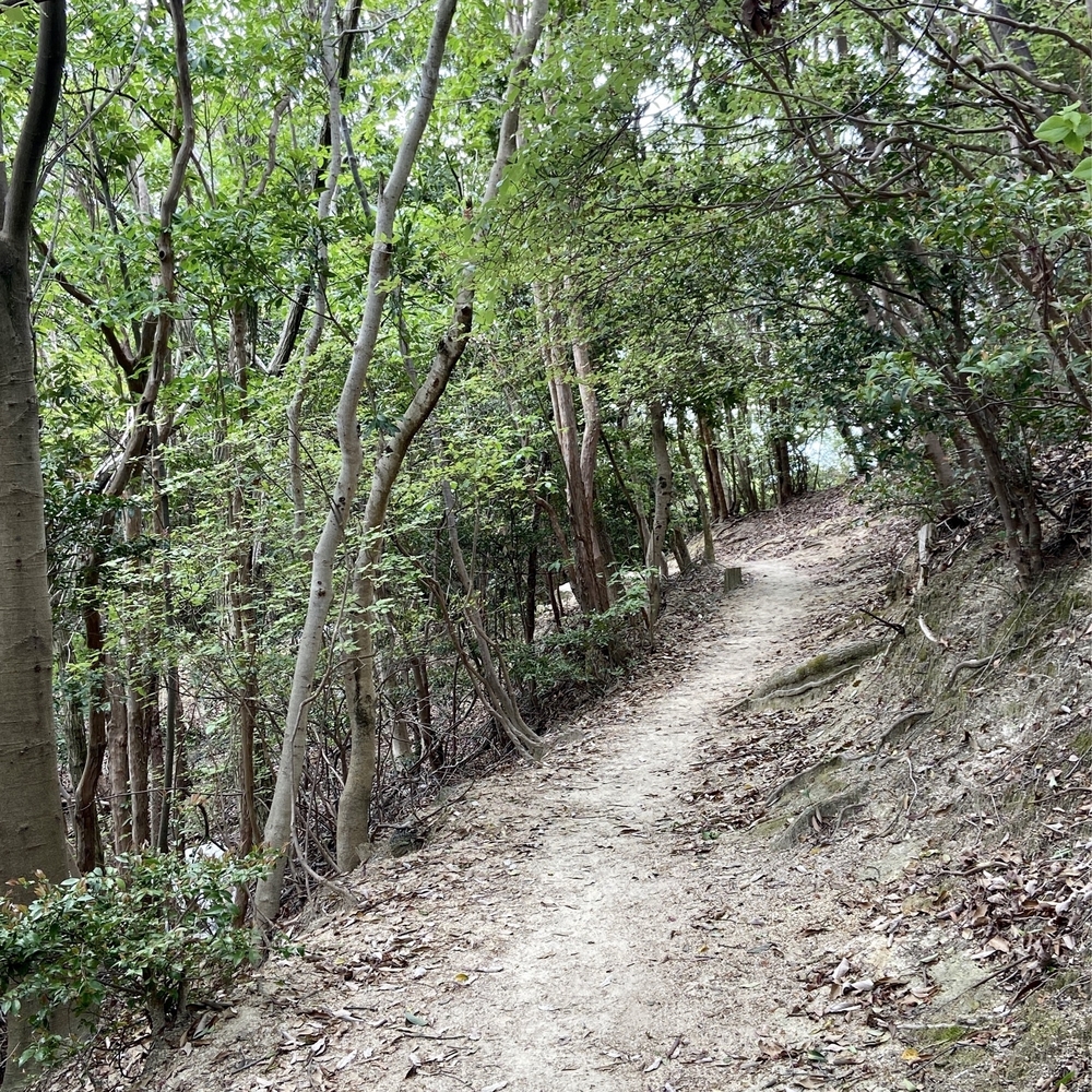甲山森林公園や甲山〜北山公園でボルダリング発祥の地を巡るプチトレランの写真12