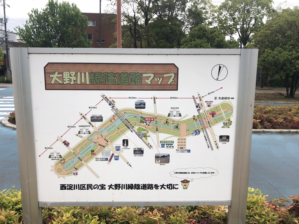 大野川緑陰道路往復8kmを走る！の写真4