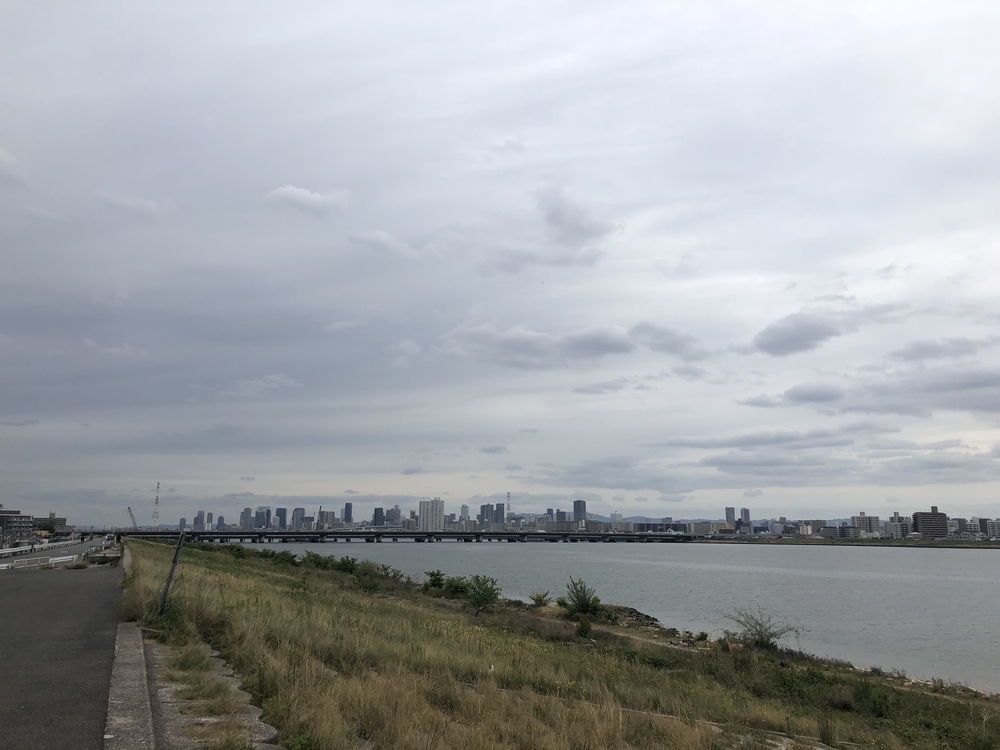 大野川緑陰道路往復8kmを走る！の写真5