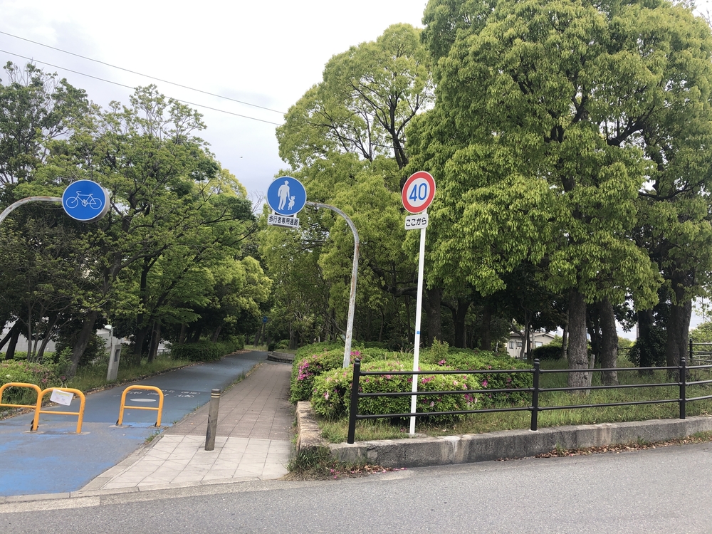 大野川緑陰道路往復8kmを走る！の写真6