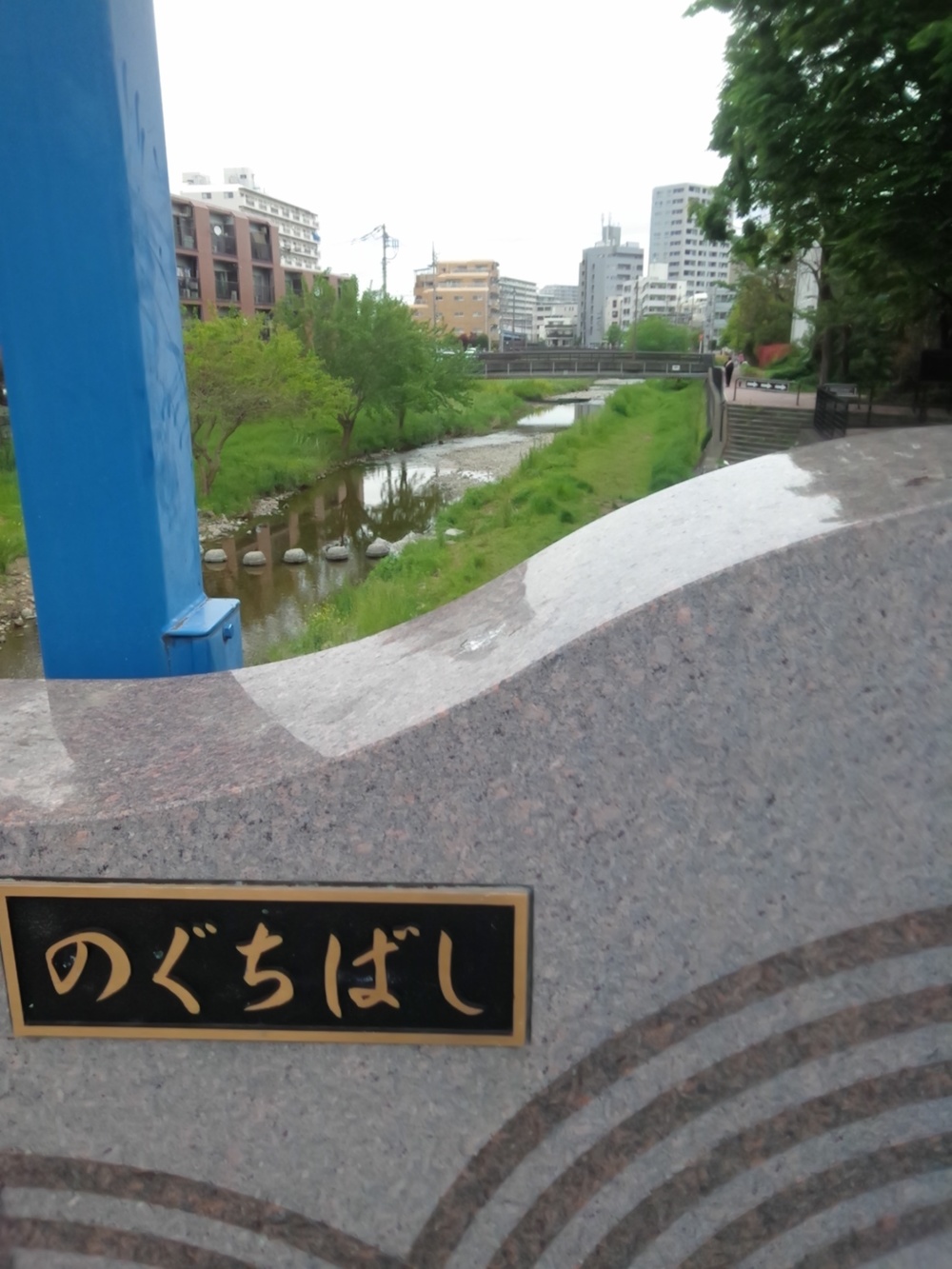 空堀川（豪雨以外カラカラ）往復8ｋｍの写真5