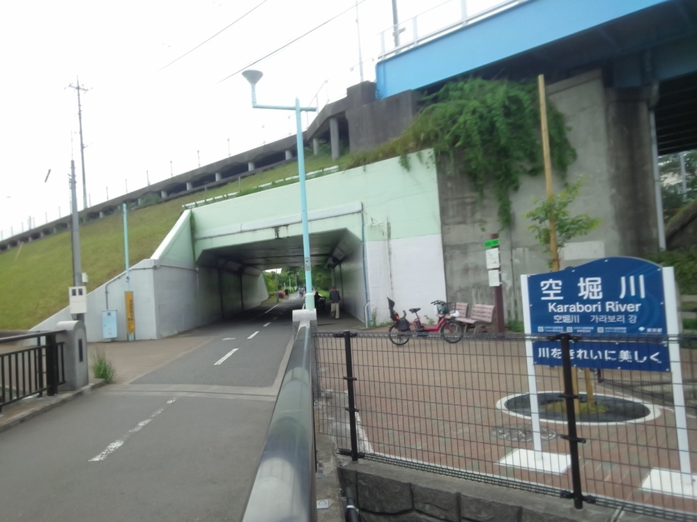 空堀川（豪雨以外カラカラ）往復8ｋｍの写真11