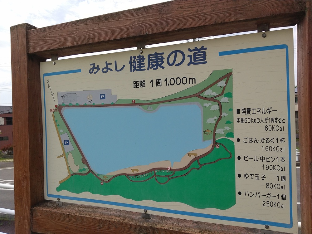 保田ヶ池公園周回コースの写真3