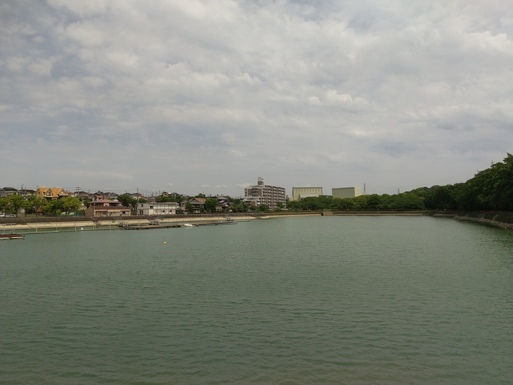 保田ヶ池公園周回コースの写真4