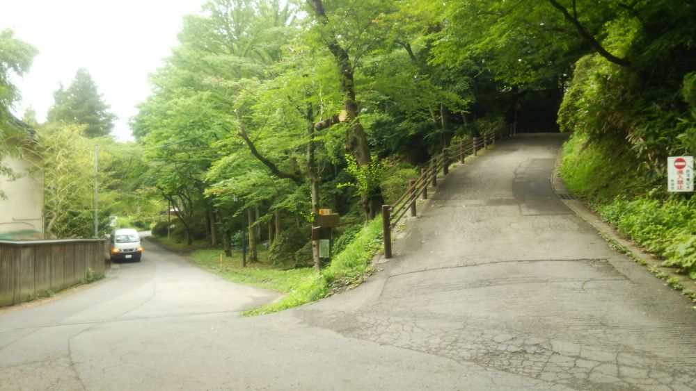 秋田市千秋公園周遊コース【約7km】の写真9